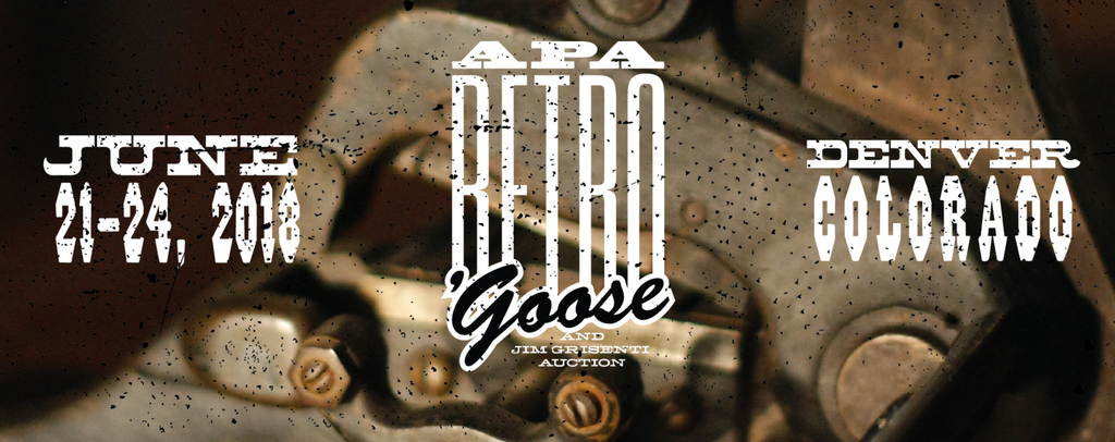 2018 APA Retro'goose!